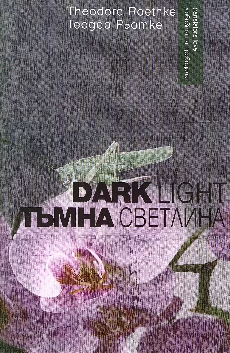 Корицата на Тъмна светлина