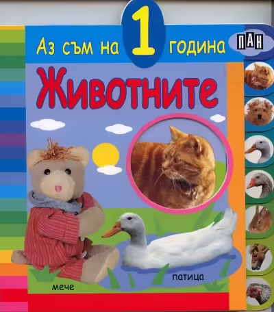 Корицата на 