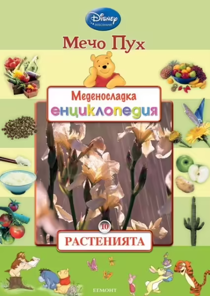 Корицата на 