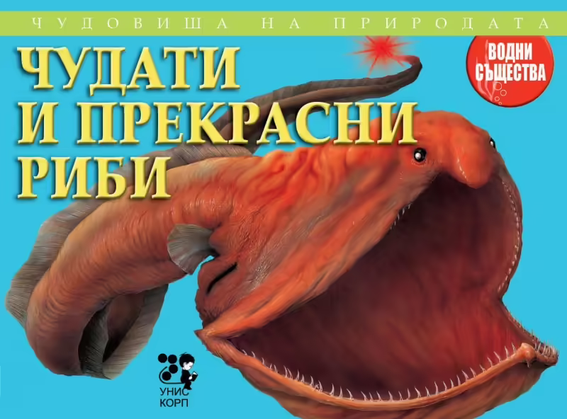 Корицата на 