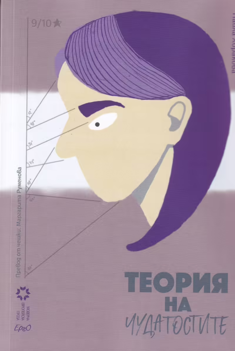 Корицата на Теория на чудатостите