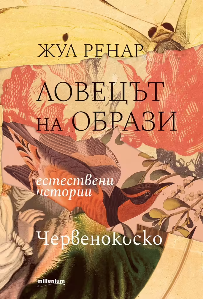 Корицата на 
