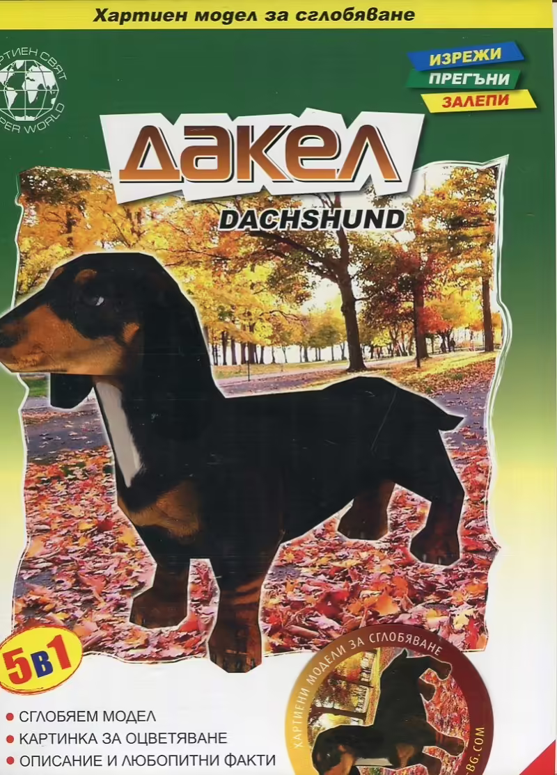 Корицата на 