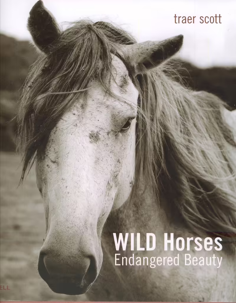 Корицата на Wild Horses