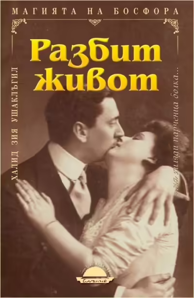 Корицата на Разбит живот