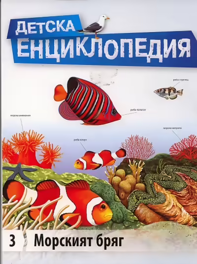 Корицата на 