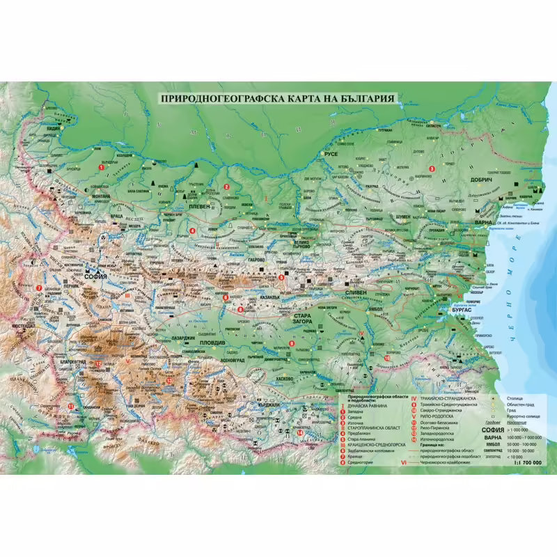 Корицата на 