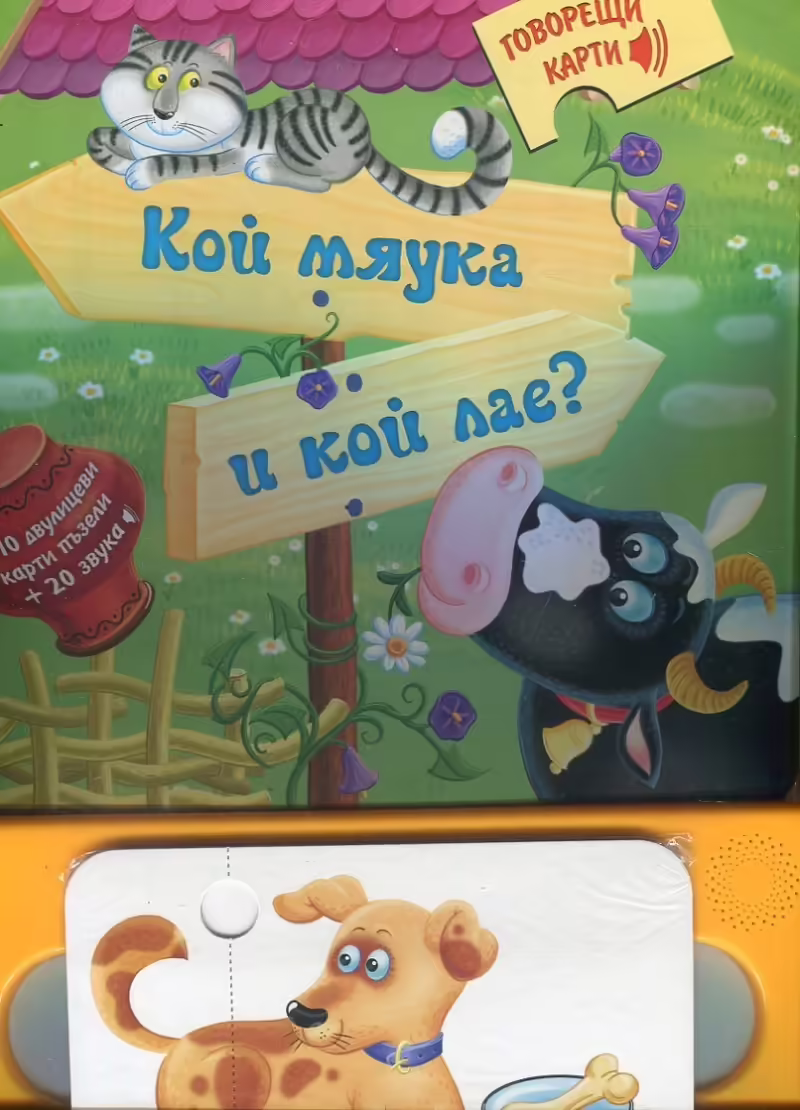 Корицата на 