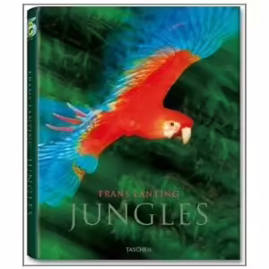 Корицата на Jungles