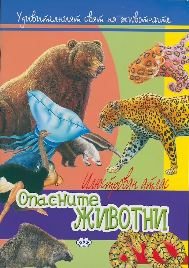 Корицата на 