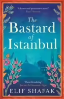 Корицата на The Bastard of Istanbul