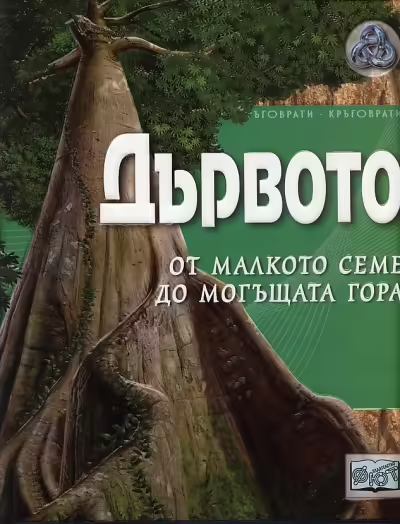 Корицата на 