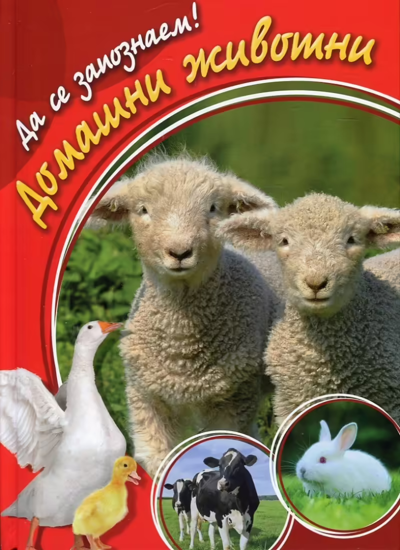 Корицата на 