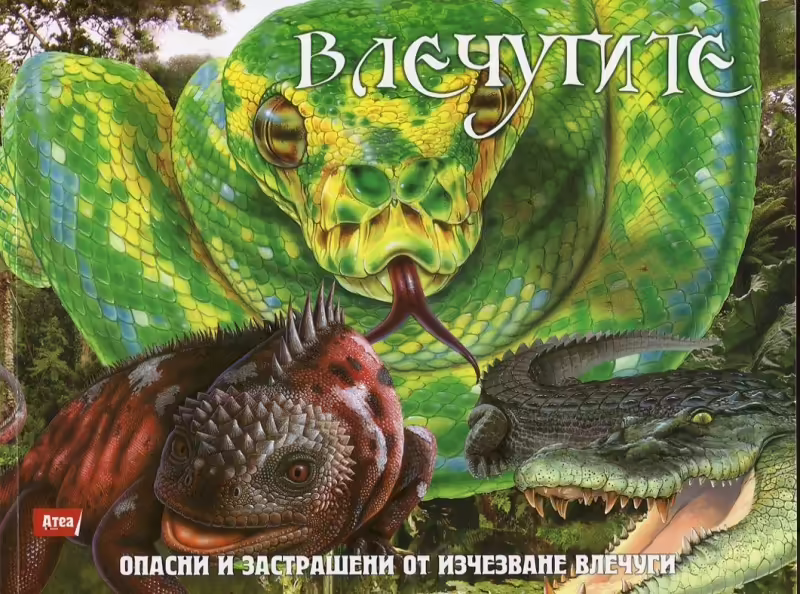Корицата на 