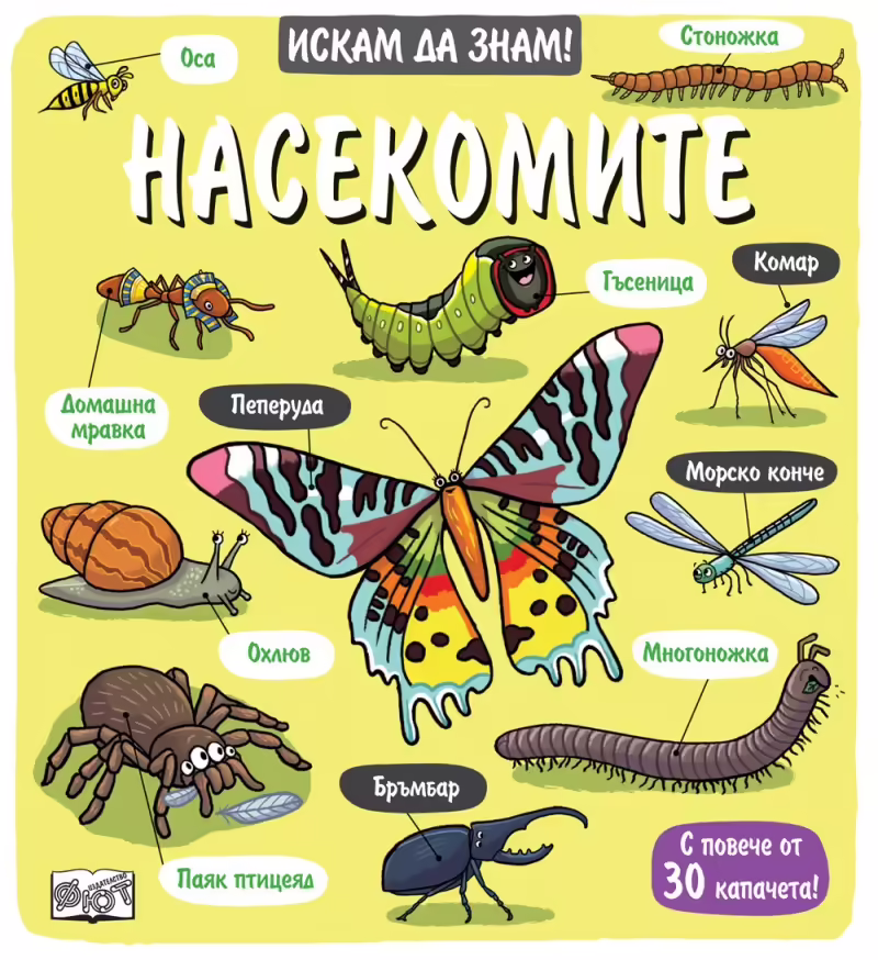 Корицата на 