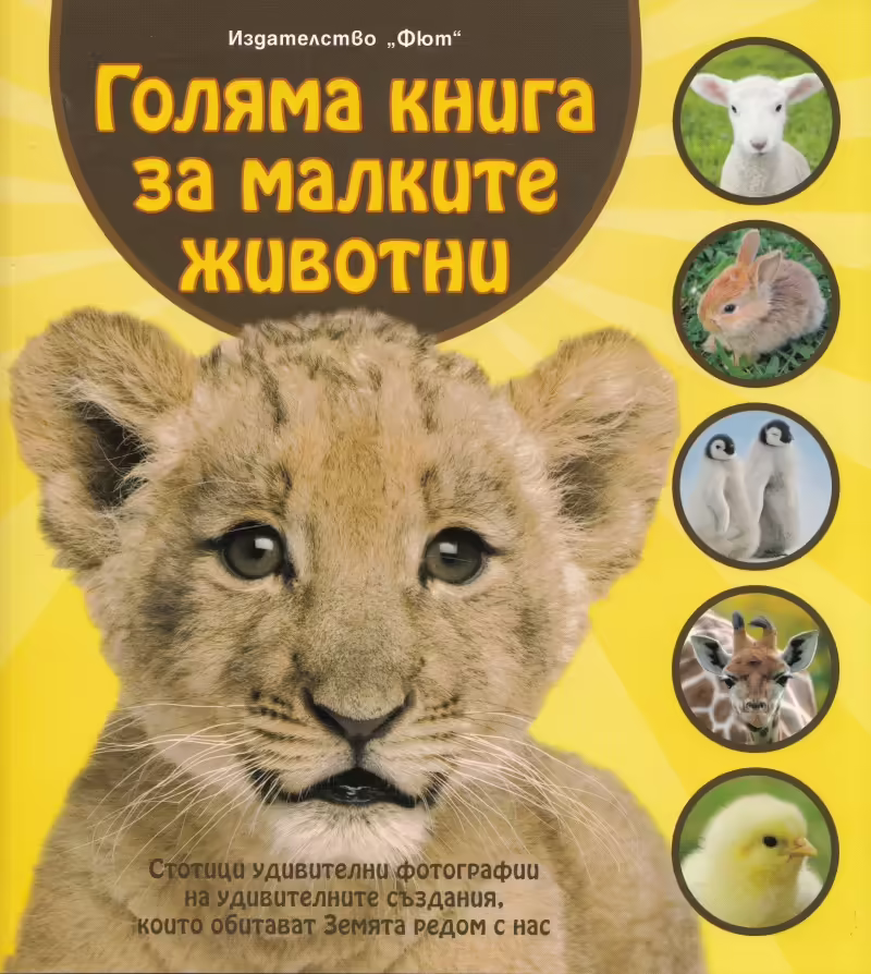 Корицата на 