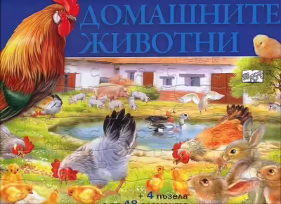 Корицата на 