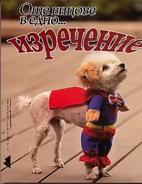 Корицата на 