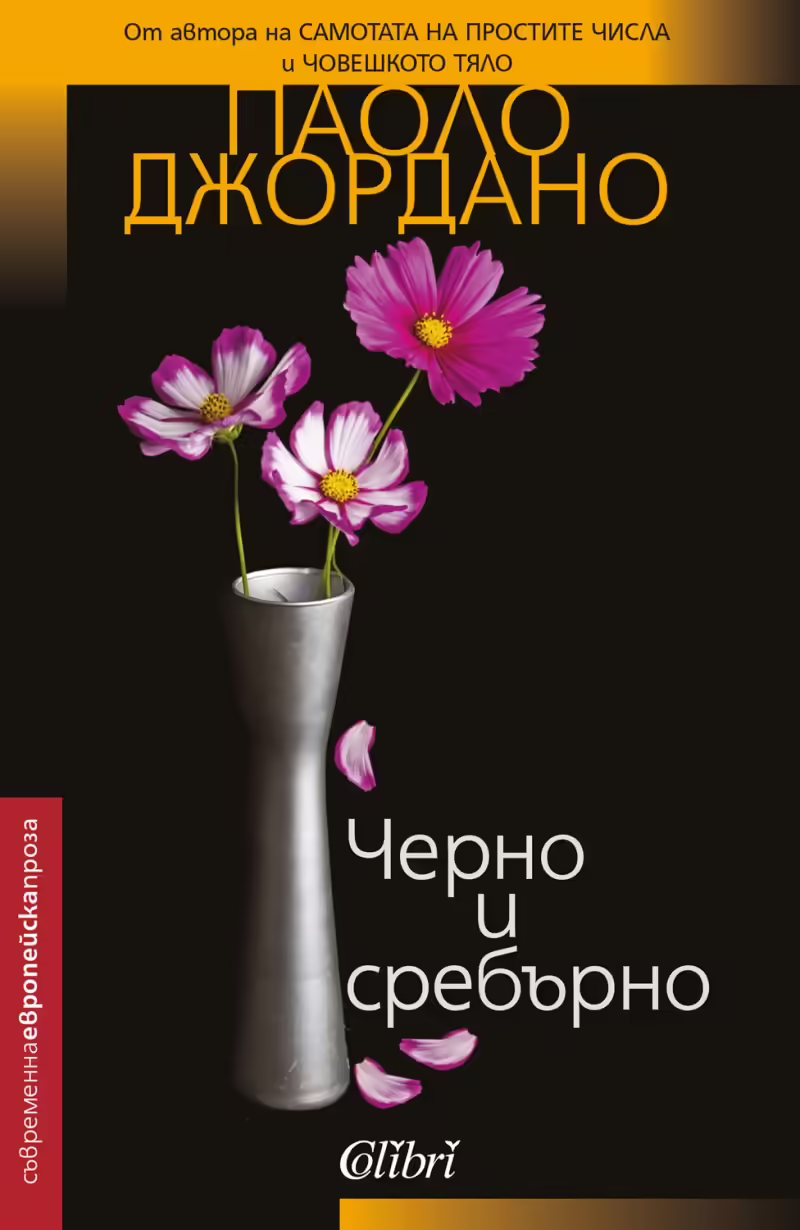 Корицата на Черно и сребърно