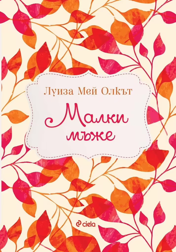 Корицата на Малки мъже