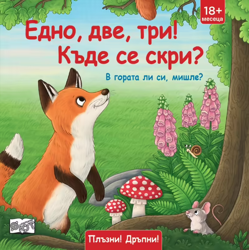 Корицата на 