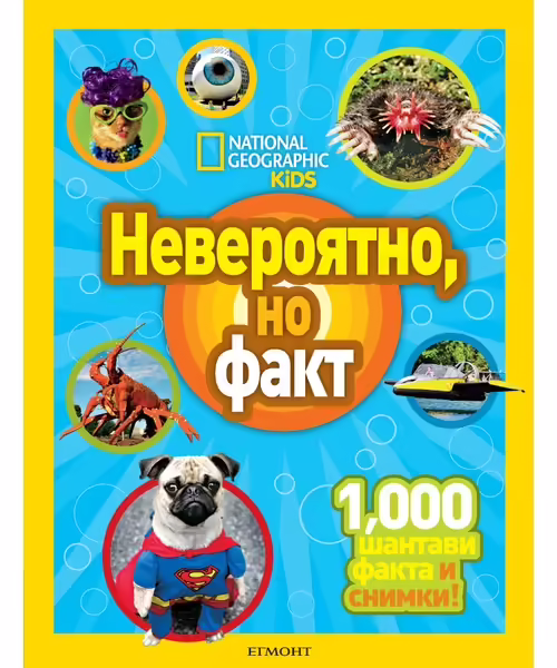 Корицата на 