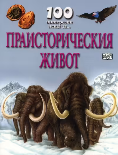 Корицата на 