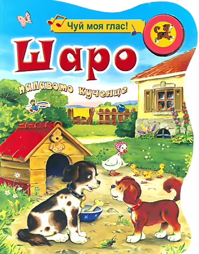 Корицата на 