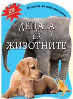 Корицата на 
