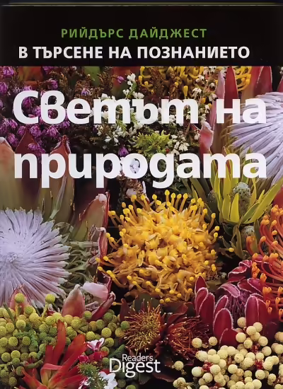 Корицата на 