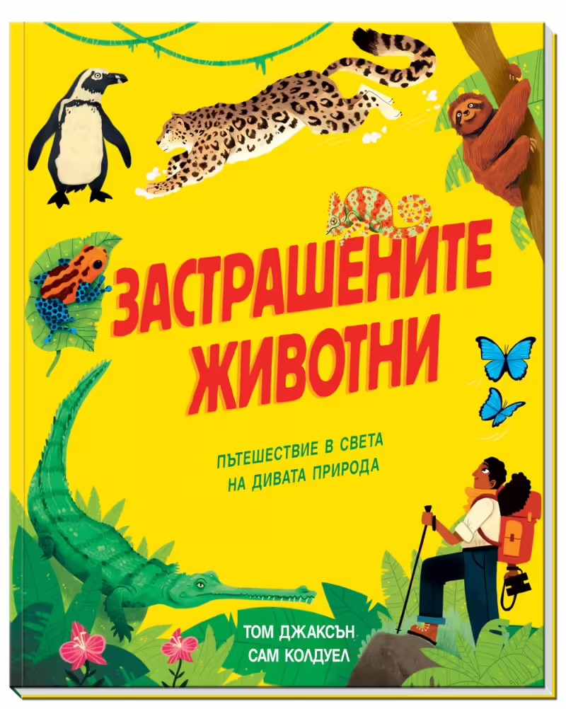 Корицата на 