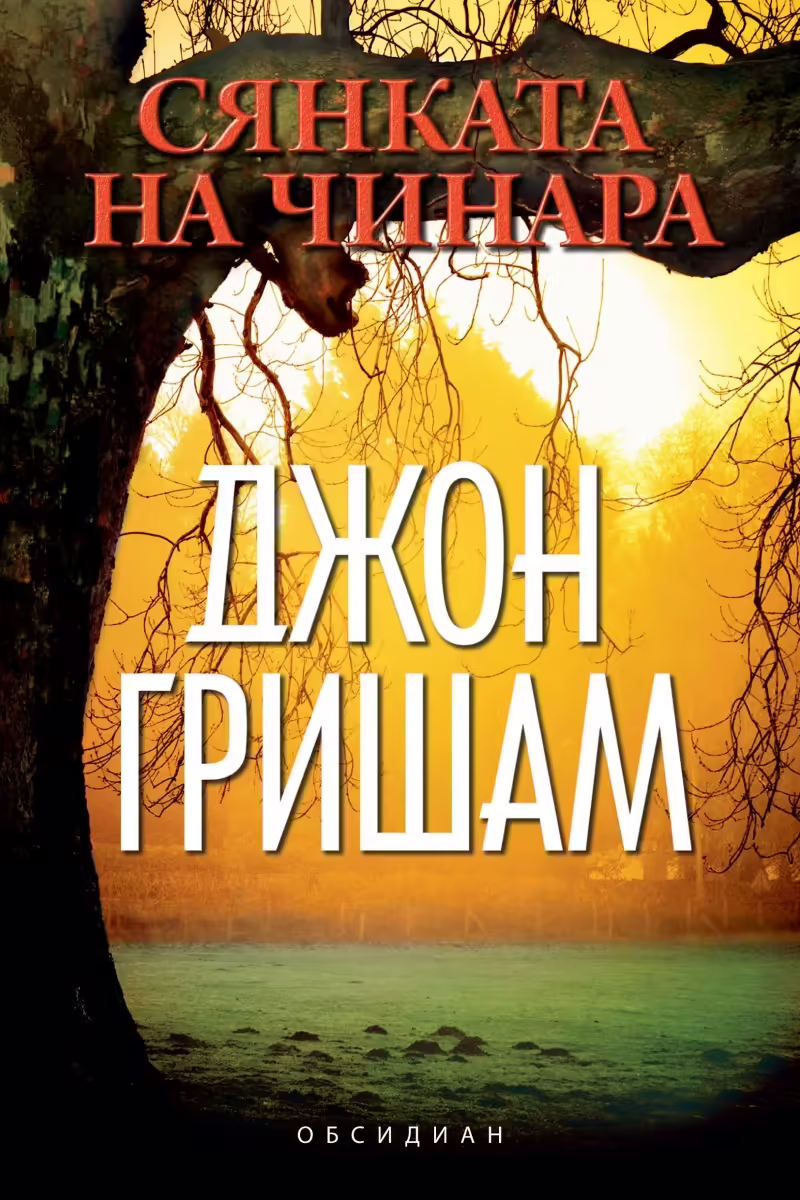 Корицата на Сянката на чинара