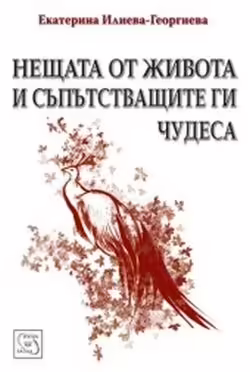 Корицата на Нещата от живота и съпътстващите ги чудеса