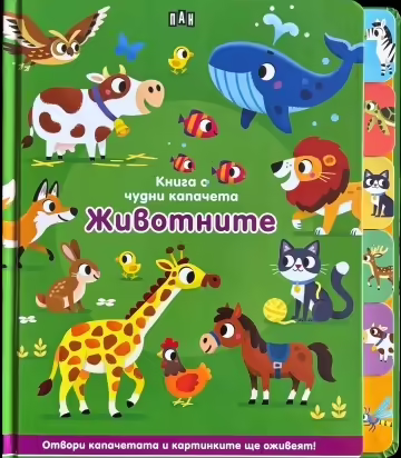 Корицата на 